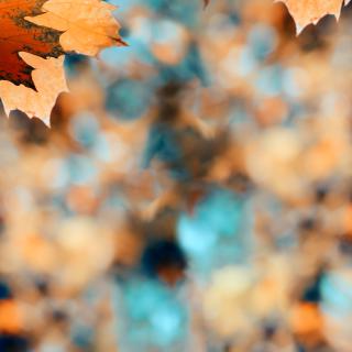 Przygotowania do Święta Zmarłych